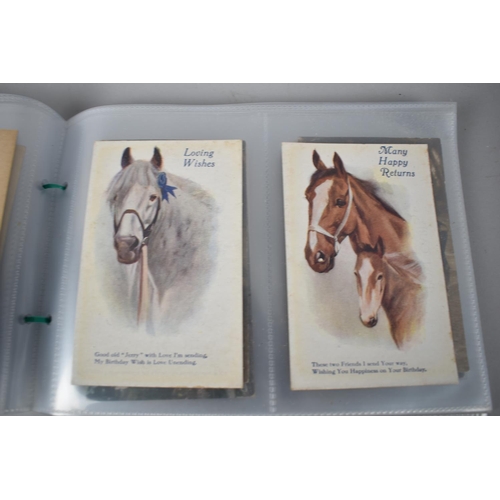 86 - A Collection of 48 Early 20th Century Postcards, Horses