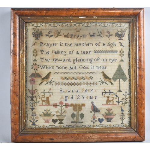 135 - A Mid 19th Century Framed Sampler by Lavinia Peer, Aged 12, Circa 1860, 29cms square