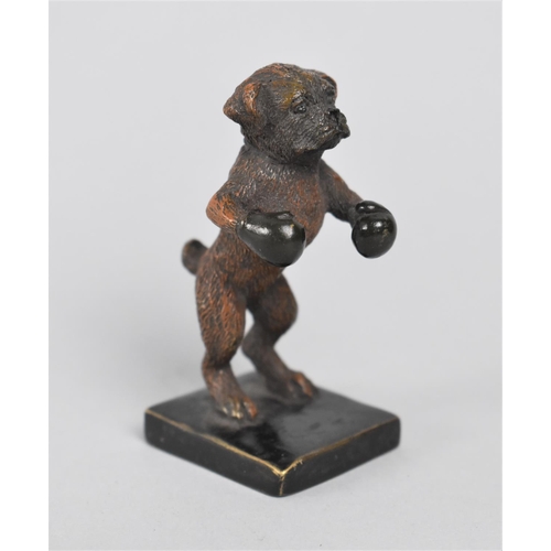 15 - A Vintage Cold Painted Bronze Anthropomorphic Boxer Dog wearing Boxing Gloves, 8.5cms High