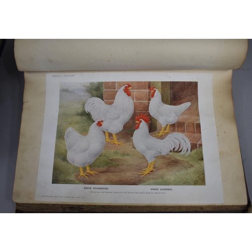 226 - A Collection of Vintage Bound Volumes Relating to Poultry