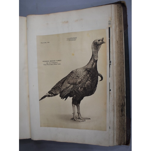 226 - A Collection of Vintage Bound Volumes Relating to Poultry