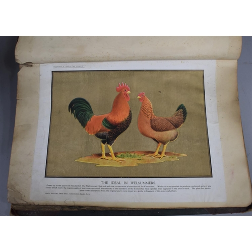 226 - A Collection of Vintage Bound Volumes Relating to Poultry