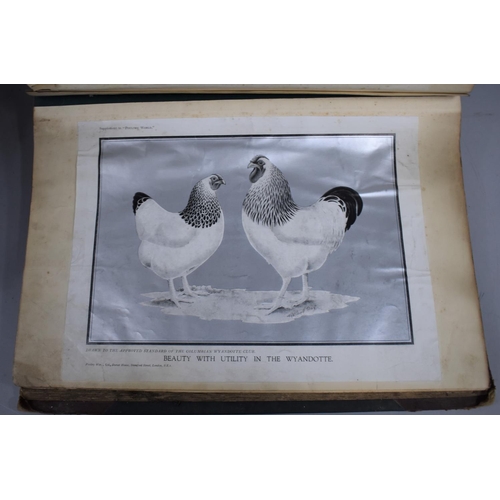 226 - A Collection of Vintage Bound Volumes Relating to Poultry