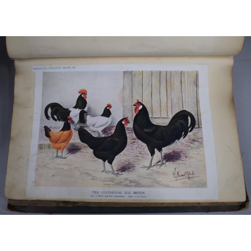 226 - A Collection of Vintage Bound Volumes Relating to Poultry