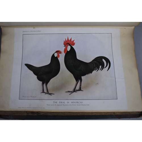 226 - A Collection of Vintage Bound Volumes Relating to Poultry