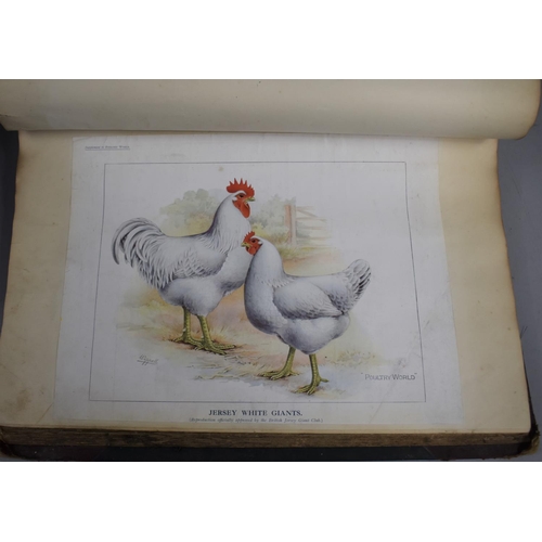 226 - A Collection of Vintage Bound Volumes Relating to Poultry