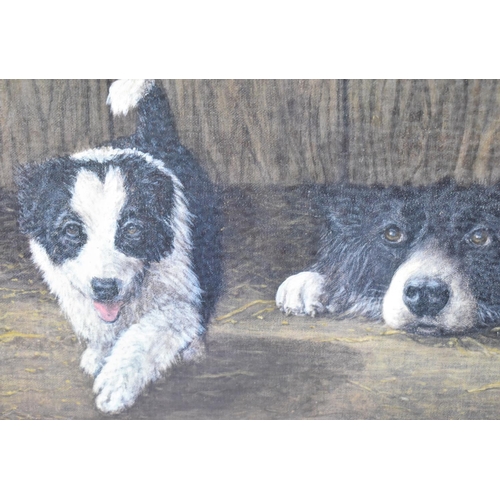 303 - A Framed John Evanson Print, Sheepdog Pup, Signed to Border by the Artist, 39x28cm