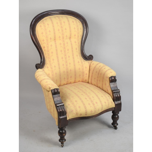 557 - A Late Victorian Mahogany Framed Balloon Back Ladies Armchair