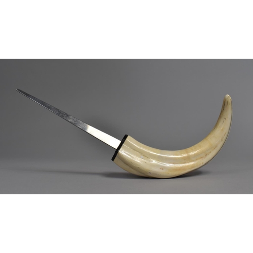 16 - A Novelty Letter Opener, Handle formed from a Warthog Tusk