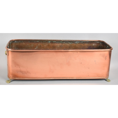 67 - A Copper Rectangular Planting Trough with Brass Claw Feet, 44cms Wide by 16cms Deep and 15cms High