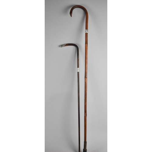 111 - A Silver Mounted Bamboo Walking Stick, Hallmarked for 1899, Together with a Teachers Cane with Silve... 