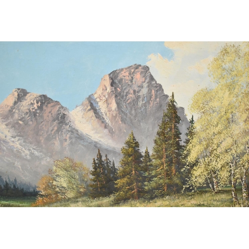 155 - A Large Mid 20th Century Framed Oil on Canvas, Alpine Scene, Signed Bottom Right, 120x59cms