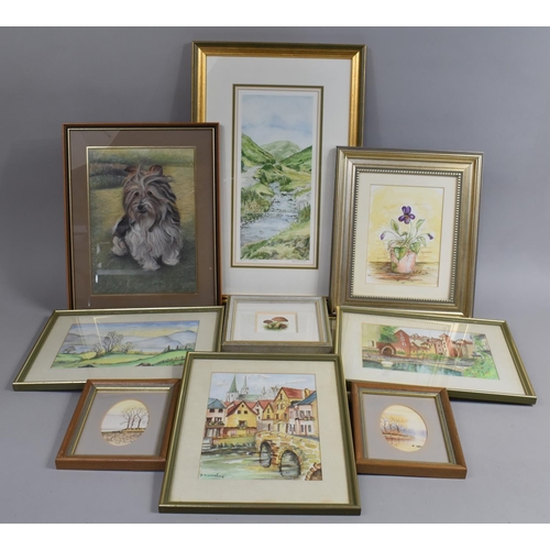 585 - A Collection of Various Framed Watercolours Etc