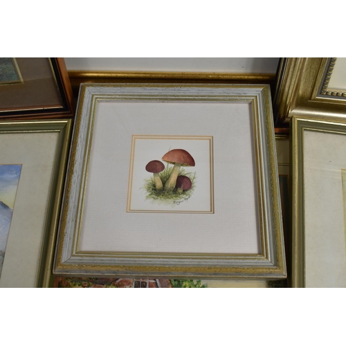 585 - A Collection of Various Framed Watercolours Etc