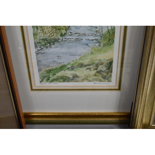 585 - A Collection of Various Framed Watercolours Etc