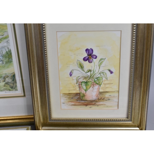 585 - A Collection of Various Framed Watercolours Etc