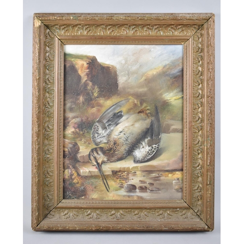 145 - A Gilt Framed Oil on Board Depicting Dead Woodcock, 34x26cm