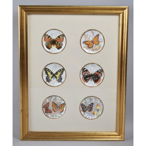 181 - A Framed Set of Six Ceramic Pin Dishes Decorated with Butterflies, 27x36cm