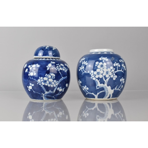 382 - Two Chinese Porcelain Blue and White Prunus Pattern Ginger Jars, Both with Double Concentric Mark to... 