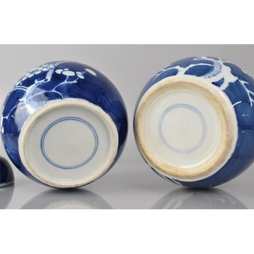 382 - Two Chinese Porcelain Blue and White Prunus Pattern Ginger Jars, Both with Double Concentric Mark to... 