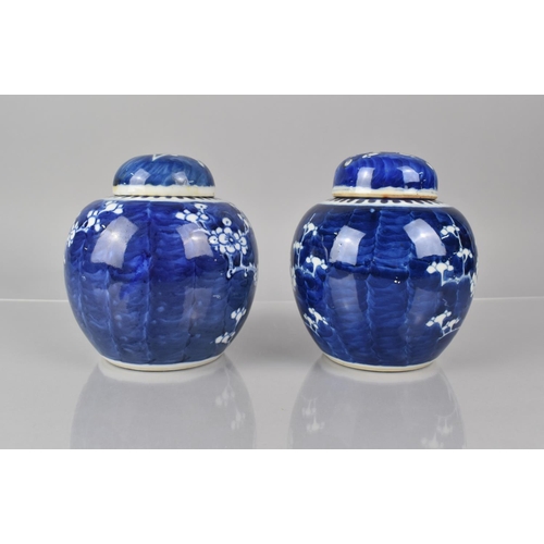 380 - Two Chinese Blue and White Prunus Pattern Ginger Jars and Covers 20th Century Both with Double Conce... 