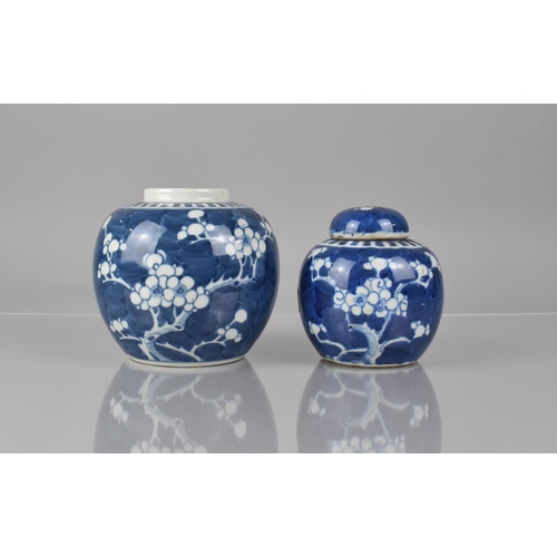 379 - Two Chinese Blue and White Prunus Pattern Ginger Jars, One with Cover, Both with Double Concentric M... 