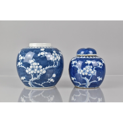 379 - Two Chinese Blue and White Prunus Pattern Ginger Jars, One with Cover, Both with Double Concentric M... 