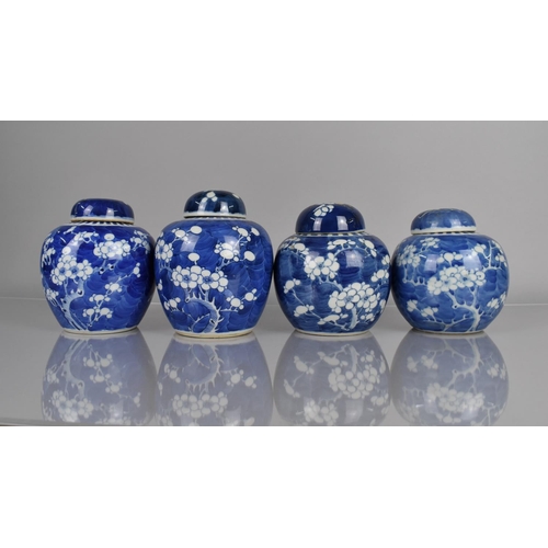 374 - A Collection of Four 19th and 20th Century Chinese Porcelain Blue and White Prunus Pattern Ginger Ja... 