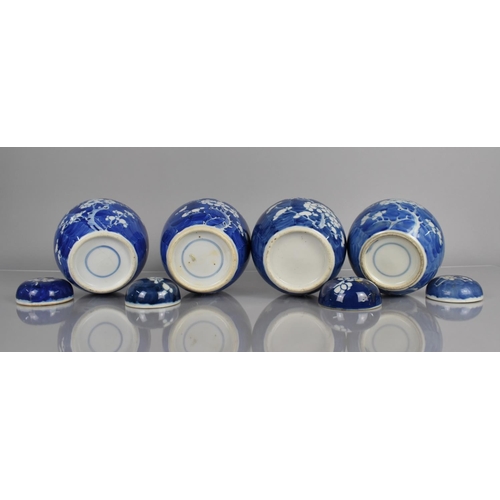 374 - A Collection of Four 19th and 20th Century Chinese Porcelain Blue and White Prunus Pattern Ginger Ja... 