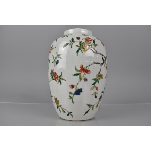 342 - An 18th/19th Century Chinese Jar decorated in the Famille Verte Palette with Running Blossoming Bran... 