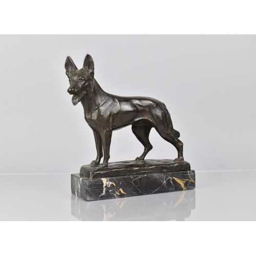 96 - An Early 20th Century German Bronze Study of Alsatian, Foundry Mark Stamp for Brandsetter of Munchen... 