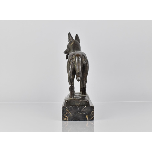 96 - An Early 20th Century German Bronze Study of Alsatian, Foundry Mark Stamp for Brandsetter of Munchen... 