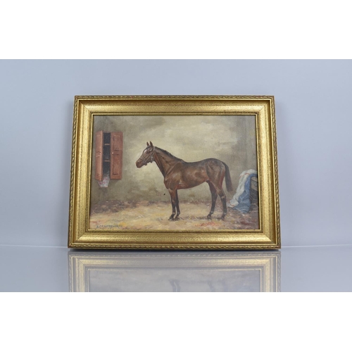 436 - A 20th Century Oil on Board, English School, Interior Stable Scene with Horse Signed A.G. Shuttlewor... 