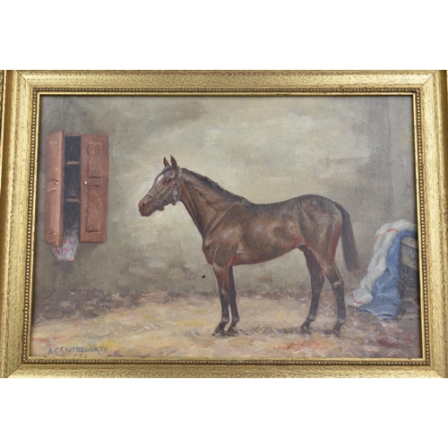 436 - A 20th Century Oil on Board, English School, Interior Stable Scene with Horse Signed A.G. Shuttlewor... 