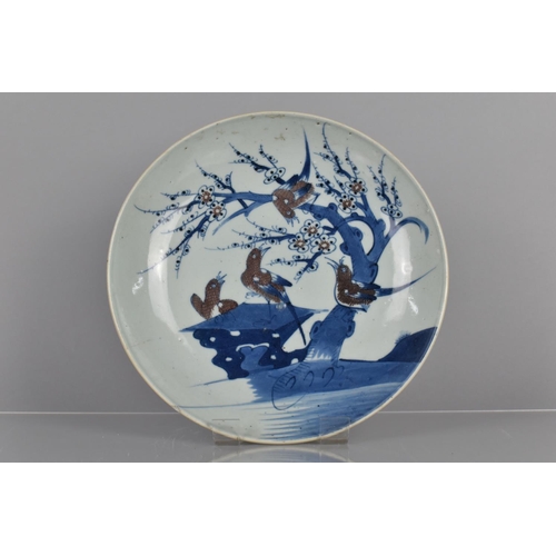 350 - A 19th Century Chinese Blue and White Porcelain Charger decorated with Swallows Perched on Blossomin... 