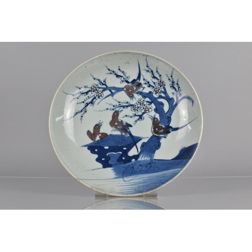 350 - A 19th Century Chinese Blue and White Porcelain Charger decorated with Swallows Perched on Blossomin... 