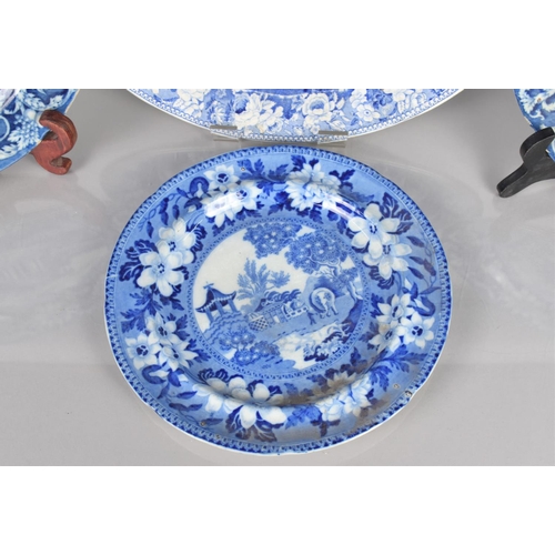 407 - Three 19th Century Blue and White Plates to Comprise a C.1815-42 John Rogers and Son Elephant Patter... 