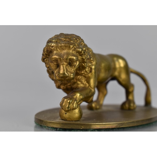 93 - A Gilt Bronze Study of a Medici Lion, Mounted on Oval Base, 11cms Wide and 5cms High