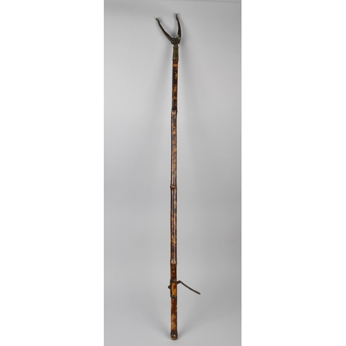 73 - A 19th Century Brass Mounted Bamboo Book or Fruit Picker, 107cms Long