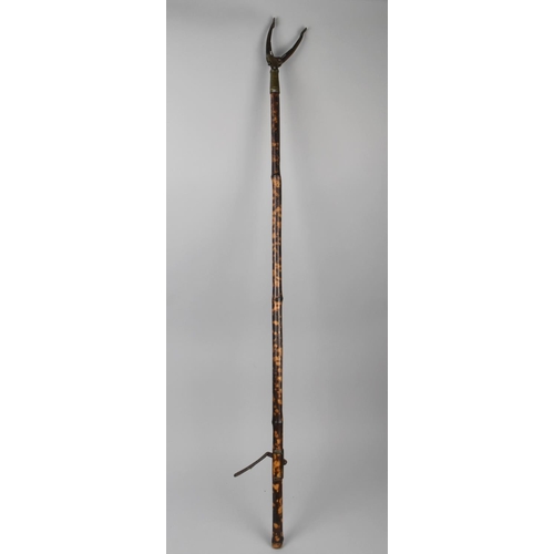 73 - A 19th Century Brass Mounted Bamboo Book or Fruit Picker, 107cms Long