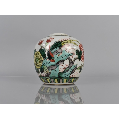 343 - An 18th/19th Century Chinese Famille Verte Ginger Jar decorated with Rock, Blossoming Branches and B... 