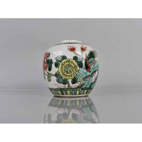 343 - An 18th/19th Century Chinese Famille Verte Ginger Jar decorated with Rock, Blossoming Branches and B... 