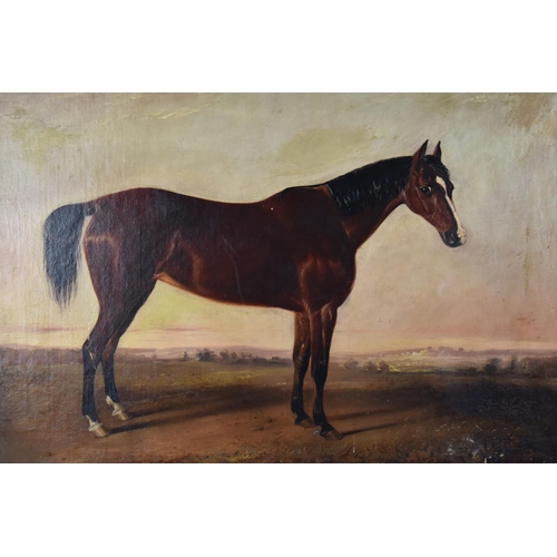 434 - A 19th Century Gilt Framed English School Oil on Board, Chestnut Horse in Paddock, 74.5x61.5cms and ... 