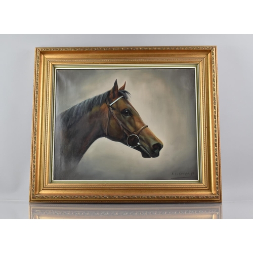 424 - Frank L Geere (1931-1991) Signed Oil on Canvas, Study of Racehorse , 50x40cms