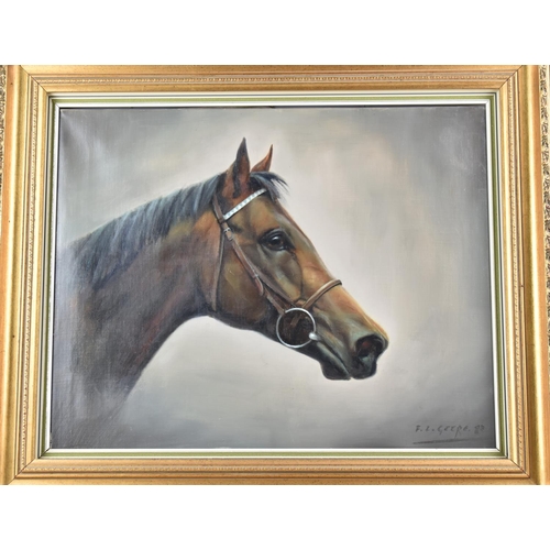 424 - Frank L Geere (1931-1991) Signed Oil on Canvas, Study of Racehorse , 50x40cms