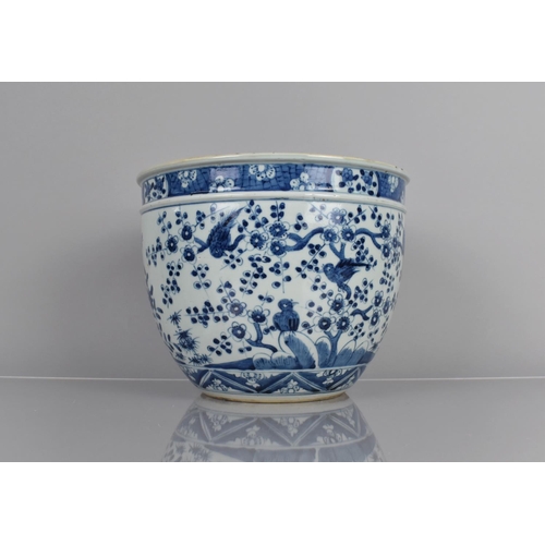 352 - A Chinese Blue and White Planter decorated with Birds in Blossoming Branches, Prunus Band Trim, 20.5... 