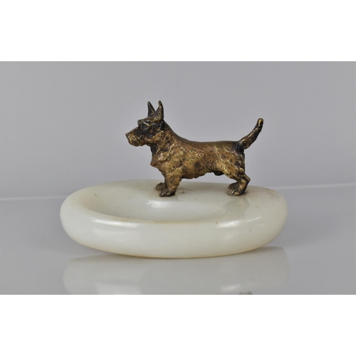 110 - A Late 19th Century Austrian Gilt Bronze Figure of a Miniature Terrier Dog Mounted A Vide Poche Plin... 