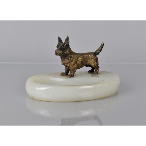 110 - A Late 19th Century Austrian Gilt Bronze Figure of a Miniature Terrier Dog Mounted A Vide Poche Plin... 