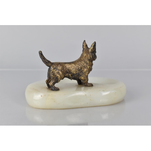 110 - A Late 19th Century Austrian Gilt Bronze Figure of a Miniature Terrier Dog Mounted A Vide Poche Plin... 