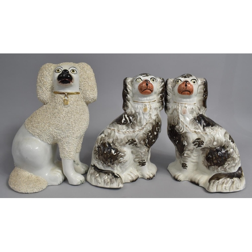 349 - A Pair of Edwardian Grey and White Staffordshire Dogs and a Taller Earlier White Example, 28cm high